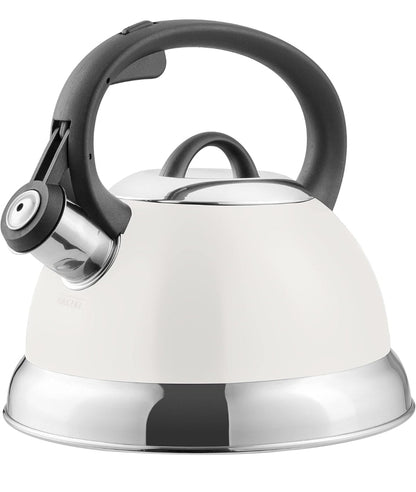 Mr. Coffee Whistling Tea Kettle
