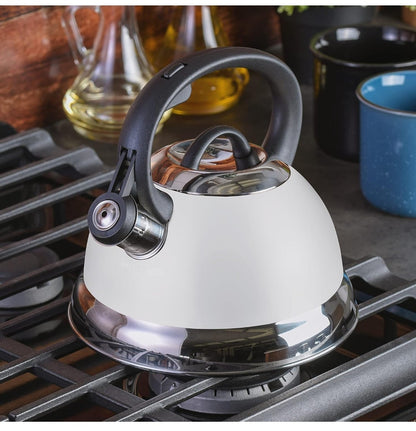 Mr. Coffee Whistling Tea Kettle