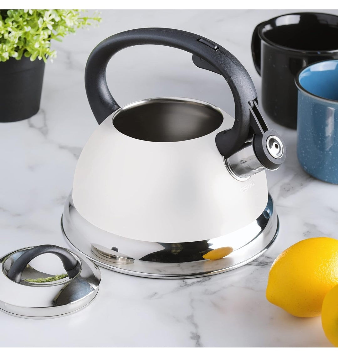 Mr. Coffee Whistling Tea Kettle