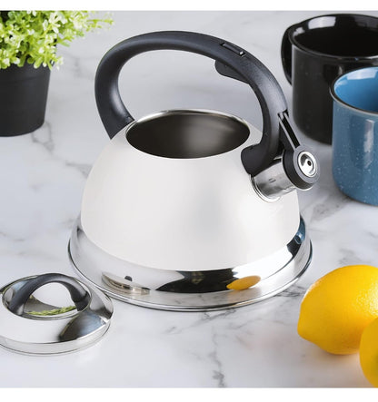 Mr. Coffee Whistling Tea Kettle