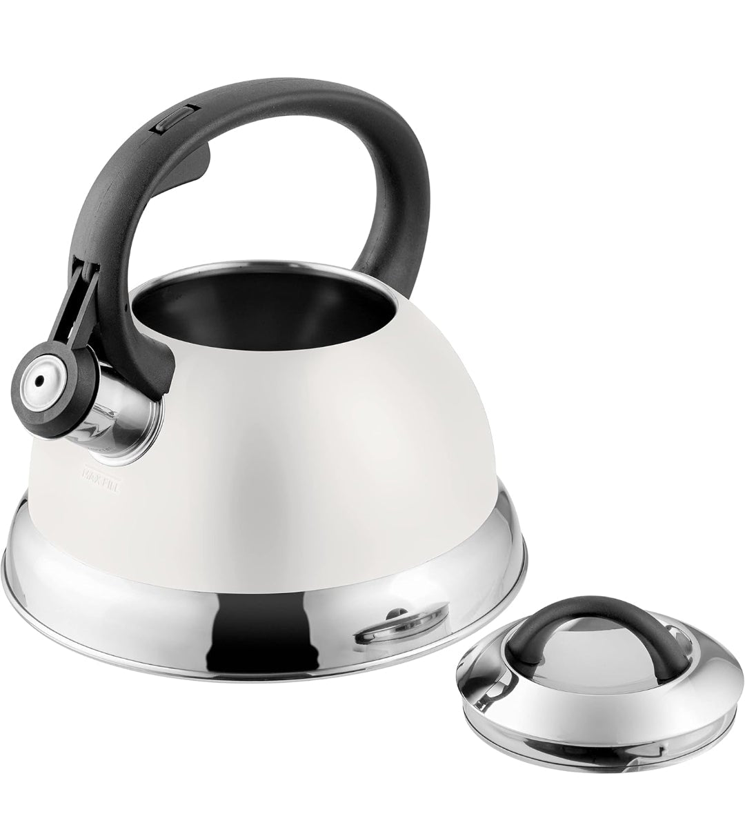 Mr. Coffee Whistling Tea Kettle